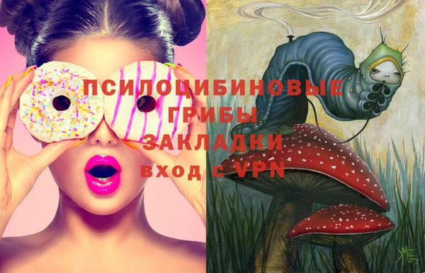 гидропоника Балахна