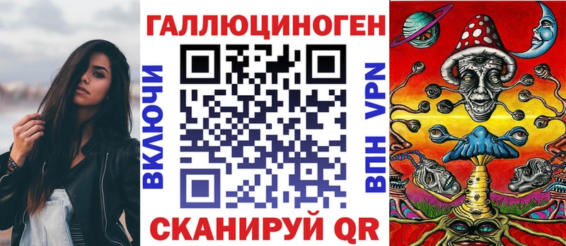 сколько стоит  Тара  Галлюциногенные грибы Cubensis 